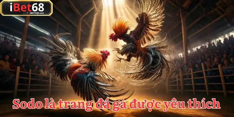 Sodo là trang đá gà uy tín trong cộng đồng yêu thích chọi kê tại Việt Nam